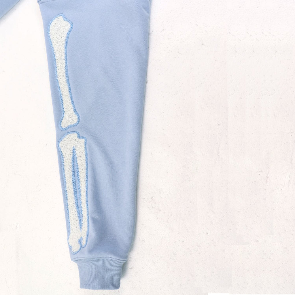 AMIRI Collegiate Bone Sleeve Graphic Hoodie — detail