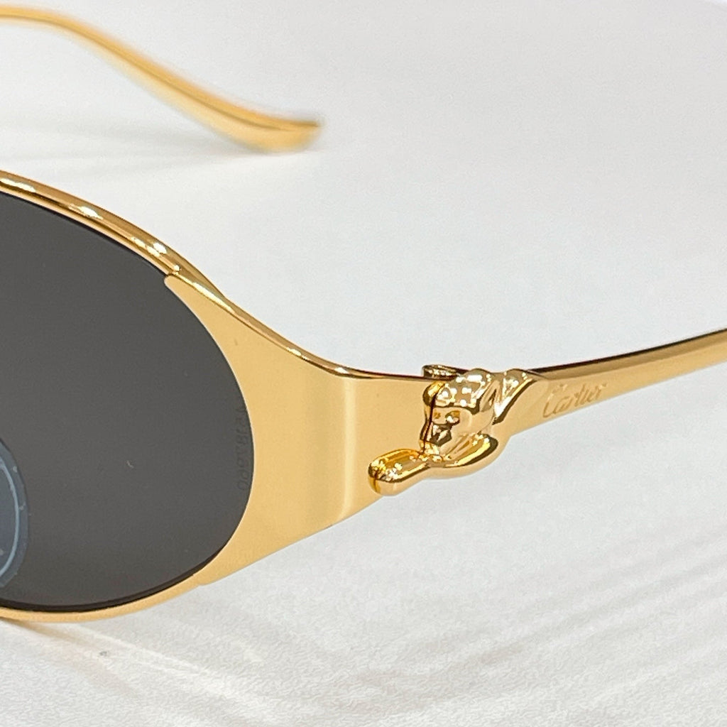 Cartier CT0631S Sunglasses